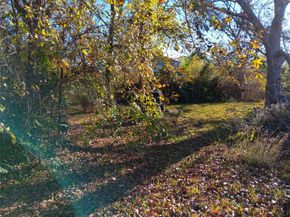 6010 Haight Street, Houston TX 77028