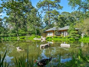 7447 Cambridge Street 65, Houston TX 77054