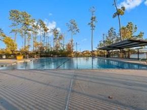 31870 Forest Park Trail, Conroe TX 77385