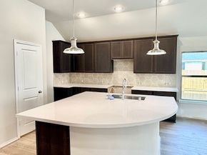 3240 Bright Maple Drive, Spring TX 77386