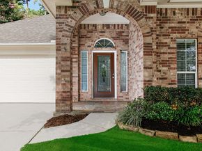 115 Regan Mead Ct, The Woodlands TX 77382