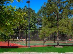 115 Regan Mead Ct, The Woodlands TX 77382