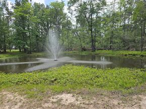 18220 Quail Run Circle, Conroe TX 77302