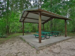 31026 Fairfield Maple Trail, Spring TX 77386