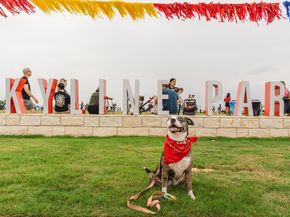 7008 Woodford WAY, Austin TX 78744