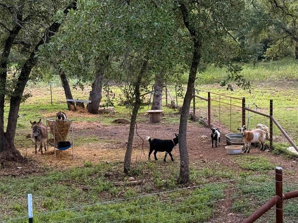 1315 W New Hope DR, Cedar Park TX 78613