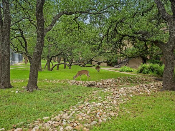 4159 Steck Ave 267, Austin TX 78759