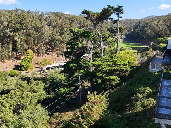 396 Crestlake Drive, San Francisco CA 94132