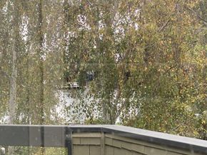 1048 Shoreline Drive, San Mateo CA 94404