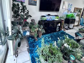 805 W Oakland Park Boulevard D19, Oakland Park FL 33311