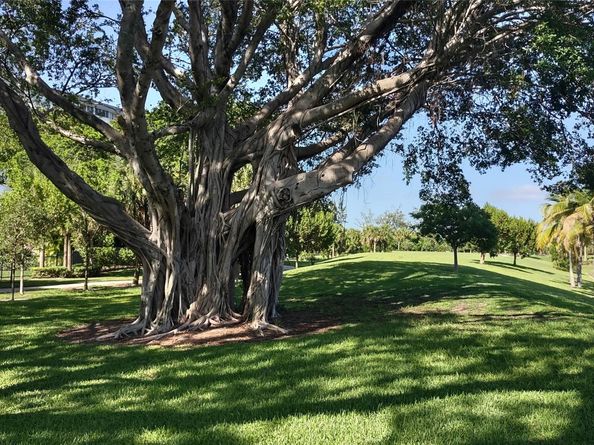 4200 Hillcrest Drive 405, Hollywood FL 33021