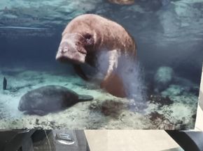 5200 N Flagler Drive SE 2006, West Palm Beach FL 33407