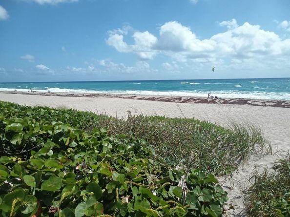 5200 N Flagler Drive SE 2006, West Palm Beach FL 33407