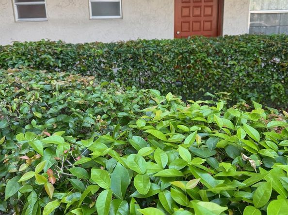 3774 Inverrary Blvd 106P, Lauderhill FL 33319