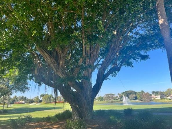 7485 Glendevon Lane 1107, Delray Beach FL 33446