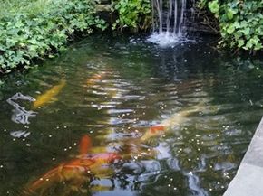 8 Stuart Avenue, Glenolden PA 19036