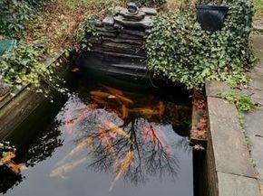 8 Stuart Avenue, Glenolden PA 19036