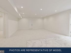 3113 8TH Street N, Arlington VA 22201