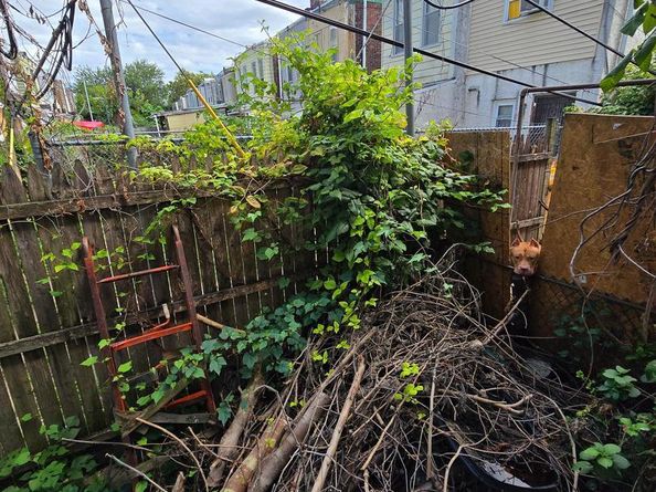 2611 N 23rd Street, Philadelphia PA 19132