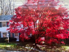 359 Spring Valley Road, Springfield PA 19064