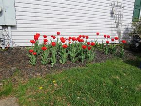 505 Goldenrod Crossing W, New Hope PA 18938