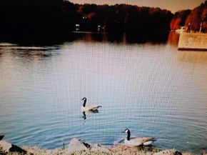 2226 Castle Rock Square 1B, Reston VA 20191