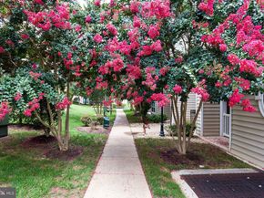 4560 Strutfield Lane 1110, Alexandria VA 22311