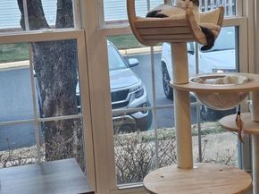 6529 Medinah Lane, Alexandria VA 22312