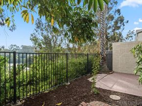 8725 Caminito Abrazo, La Jolla CA 92037