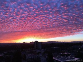 3535 1st Ave 15A, San Diego CA 92103