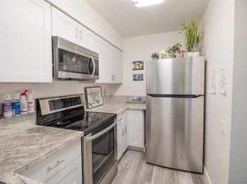 1337 Camanito Galbadon