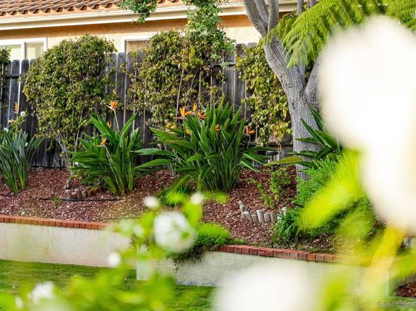 451 Jolina Way, Encinitas CA 92024