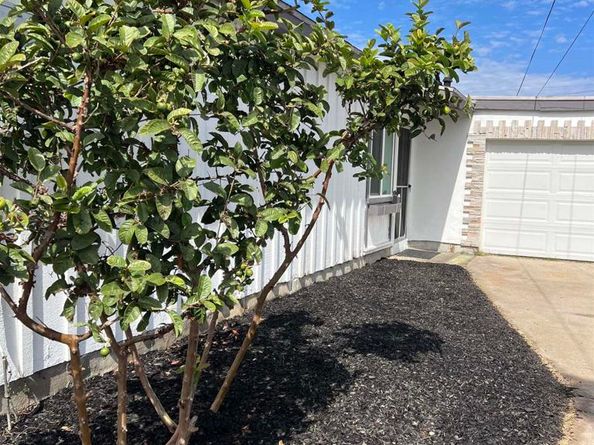 3822 Conrad Ave, San Diego CA 92117