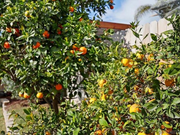 5351 Rio Plata Dr, Oceanside CA 92057