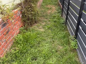 3203 Webster Ave, San Diego CA 92113