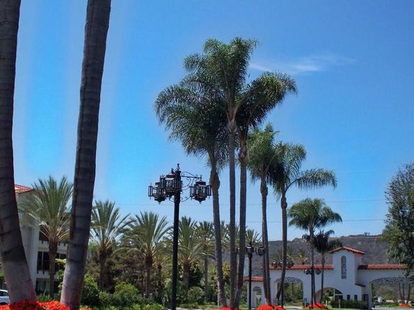 2003 Costa Del Mar Rd 692, Carlsbad CA 92009