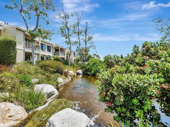 12213 Carmel Vista Rd