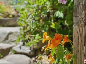 1527 Bainum Drive, Topanga CA 90290