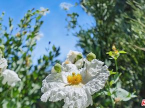 1527 Bainum Drive, Topanga CA 90290