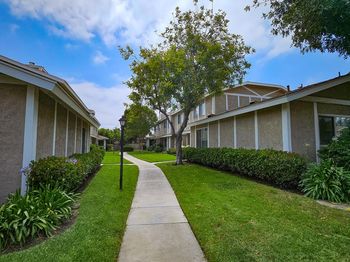 15226 Shadybend Drive