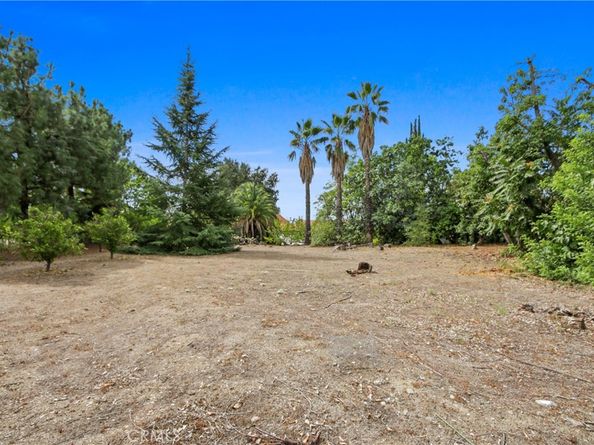 2464 Prospect Drive, Upland CA 91784