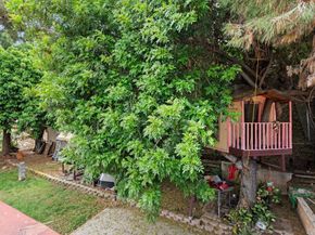 1134 Carlsbad Street, Spring Valley CA 91977