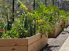 9824 Quail Canyon Road, El Cajon CA 92021