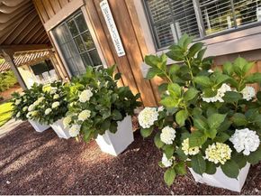 9824 Quail Canyon Road, El Cajon CA 92021