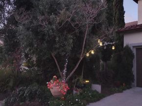 5544 Mill Creek Road, San Diego CA 92130