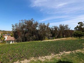 1972 Swallow Lane, Carlsbad CA 92009