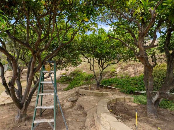 6301 Castejon Drive, La Jolla CA 92037
