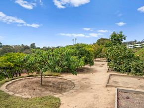 6301 Castejon Drive, La Jolla CA 92037