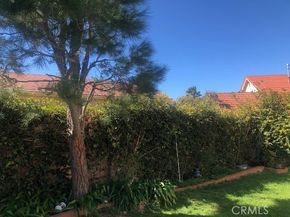 19736 Crystal Hills Ln, Porter Ranch CA 91326