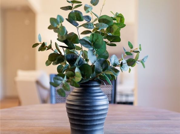 23582 Villena, Mission Viejo CA 92692